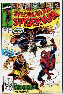 The Spectacular Spider-Man #161 (1990) Spider-Man