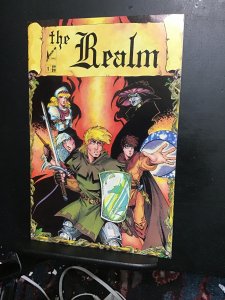 Realm #1 (1986) high-grade first issue key! Sword and sorcery! NM- Wow