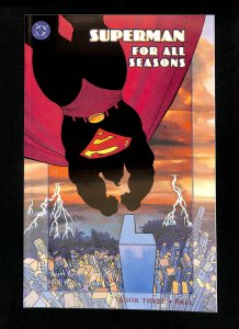 Superman For All Seasons #3