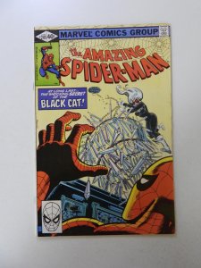 Amazing Spider-Man #205 FN/VF condition