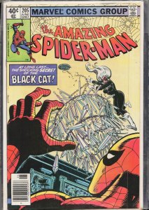 The Amazing Spider-Man #205 (1980) Spider-Man