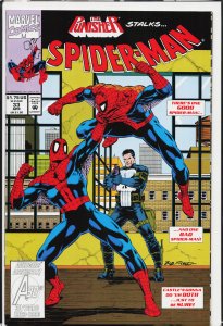 Spider-Man #33 (1993) Spider-Man