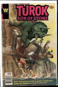 Turok, Son of Stone #117 (1978)