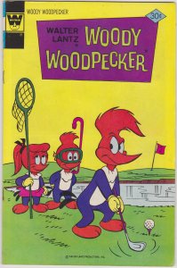 Woody Woodpecker #157