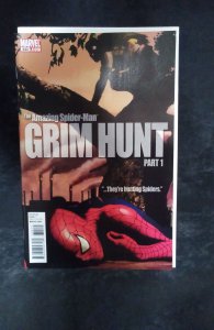 The Amazing Spider-Man #634 Variant Cover (2010)