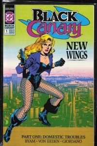 Black Canary #1 (1991) Black Canary