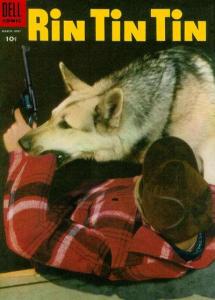 Rin Tin Tin #8, Fine- (Stock photo)