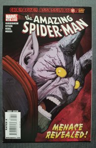 The Amazing Spider-Man #586 (2009)