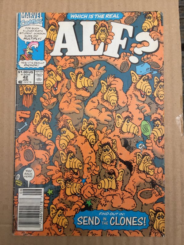 Alf #42