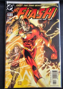 The Flash #213 (2004)
