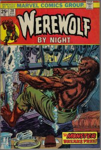 Werewolf by Night #20 (Marvel, 1974) F
