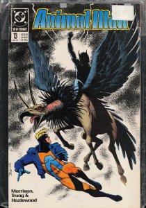 Animal Man #13 (1989) Animal Man