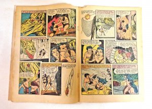 Thunda #3g Powell Art