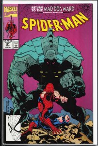 Spider-Man #31 (1993) Spider-Man