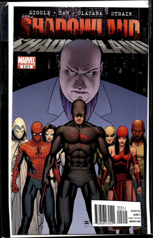 Shadowland #2 (2010) Daredevil