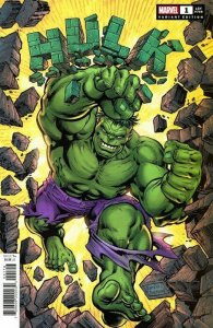 Hulk #1 Dan Jurgens Variant Marvel Comics 2021