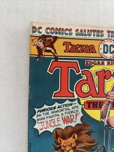 Tarzan #251 DC