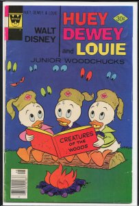 Walt Disney Huey, Dewey and Louie Junior Woodchucks #45 (1977) Junior Woodchucks