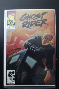 Ghost Rider #13 Direct Edition (1991)