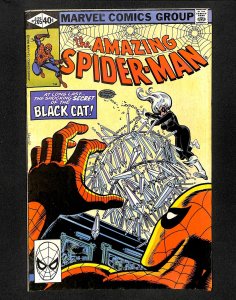 Amazing Spider-Man #205 Black Cat!