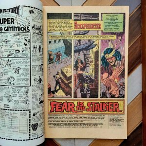 WEIRD WESTERN TALES #56-57 (DC 1979) Featuring SCALPHUNTER High Grade Set of 2