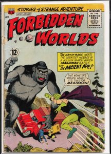 Forbidden Worlds #132 (1965)