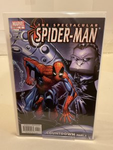 Spectacular Spider-Man #6  2004  9.0 (our highest grade)