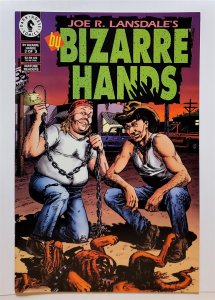 By Bizarre Hands #3 (June 1994, Dark Horse) 9.0 VF/NM