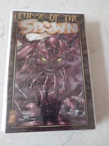 Curse of the Spawn #1 (1996)