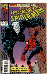 The Spectacular Spider-Man #204 (1993) Spider-Man