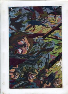 NINJAK #1 (9.2) SIGNED BY JIM PALMIOTTI!