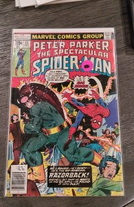 The Spectacular Spider-Man #13 (1977)