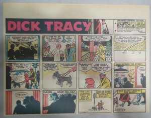 Dick Tracy Sunday Page by Chester Gould from 2/22/1970 Size: 11 x 15 inches