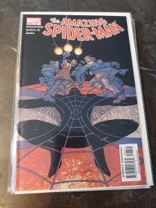 The Amazing Spider-Man #507 (2004)