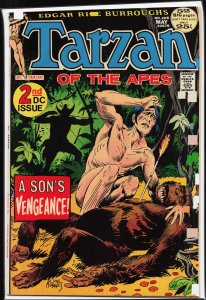 Edgar Rice Burroughs' Tarzan #208 (1972)