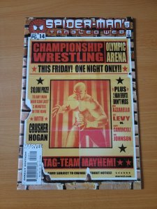 Spider-Man Tangled Web #14 Direct Market ~ NEAR MINT NM ~ 2002 Marvel Comics