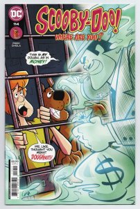 Scooby-Doo Where Are You #114 Valerio Chiola Cover DC 2022 NM 