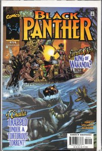 Black Panther #14 (2000) Black Panther