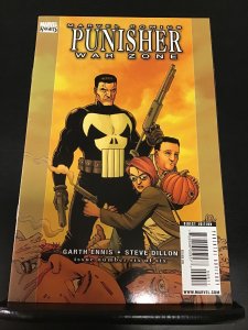 Punisher: War Zone #6 (2009)nm
