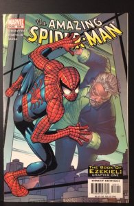 The Amazing Spider-Man #506 (2004)