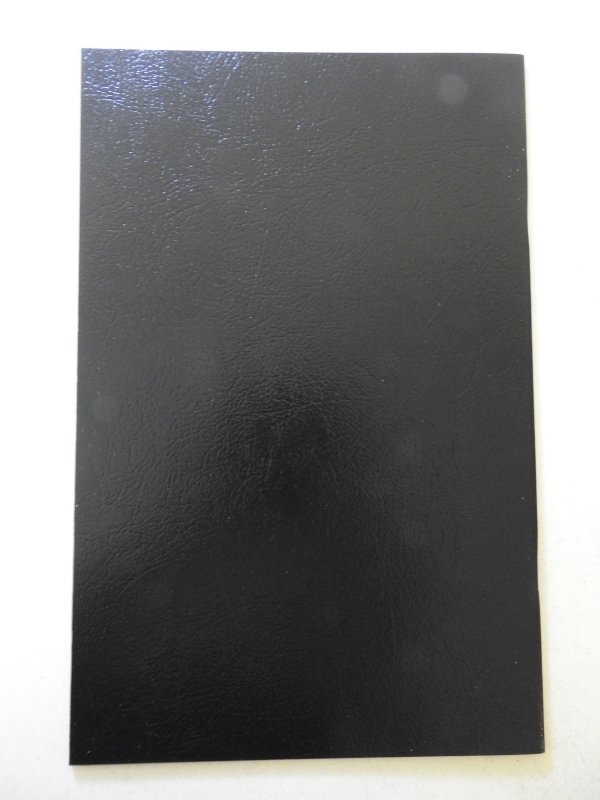 Lady Death: Apocalypse #1 Leather Variant NM Condition!