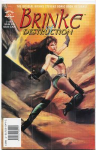 Brinke Of Destruction #2 (1996)