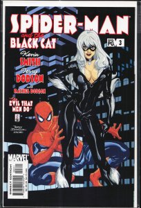 Spider-Man/Black Cat: The Evil that Men Do #3 (2002) Spider-Man