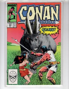Conan the Barbarian #210 (1988)  - [NSC•ECA7]