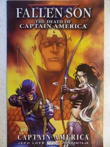 FALLEN SON: THE DEATH OF CAPTAIN AMERICA # 3 (2007) 
