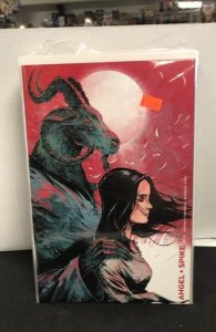 Angel + Spike #15 Cover C (2020)