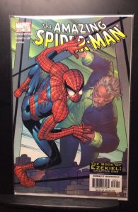 The Amazing Spider-Man #506 (2004)