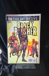 Black Panther #29 (2007) Black Panther 