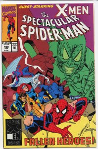 The Spectacular Spider-Man #199 (1993) Spider-Man
