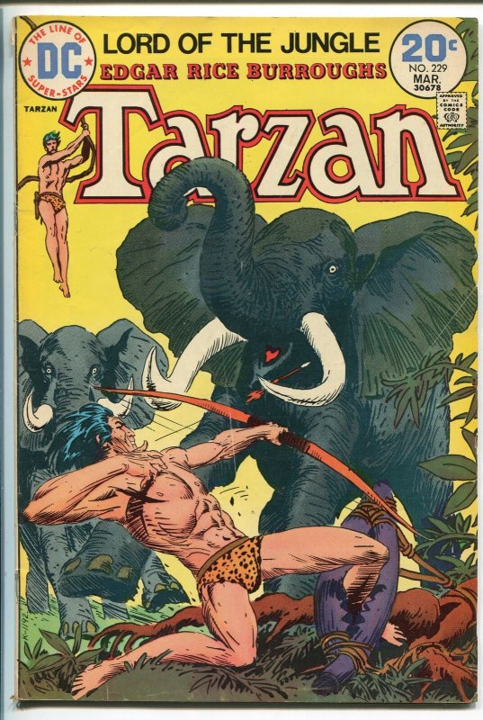 TARZAN #229 1974-DC-EDGAR RICE BURROUGHS-JOE KUBERT JUNGLE ART-fn